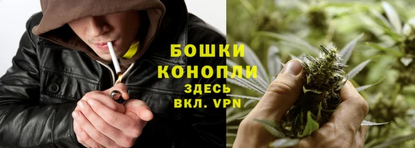 ГАЛЛЮЦИНОГЕННЫЕ ГРИБЫ Абаза