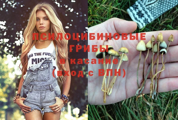 ГАЛЛЮЦИНОГЕННЫЕ ГРИБЫ Абаза