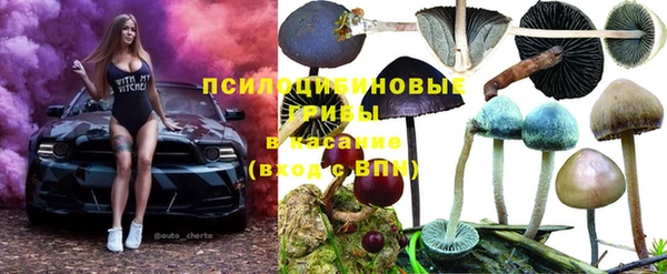 соль ск Абдулино