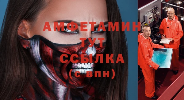 ГАЛЛЮЦИНОГЕННЫЕ ГРИБЫ Абаза