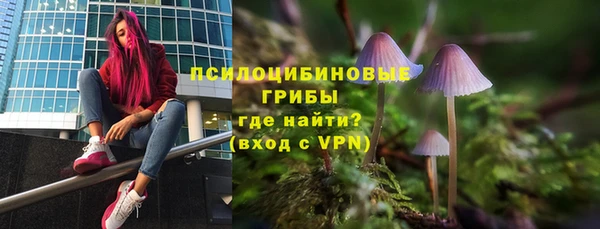 ГАЛЛЮЦИНОГЕННЫЕ ГРИБЫ Абаза