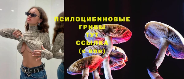 ГАЛЛЮЦИНОГЕННЫЕ ГРИБЫ Абаза