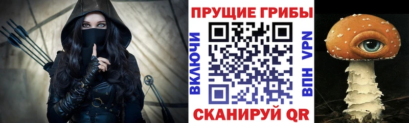 Галлюциногенные грибы Psilocybe  как найти закладки  Барнаул 